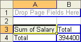 Pivot table result with the salary field added to the Data area