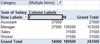 Excel 2010 - PivotTable - Report filter activated