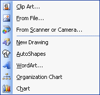 Insert picture options